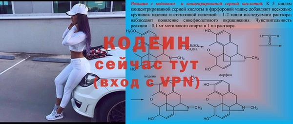 тгк Ладушкин