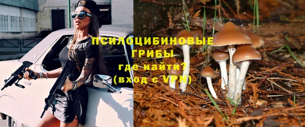 2c-b Лабытнанги