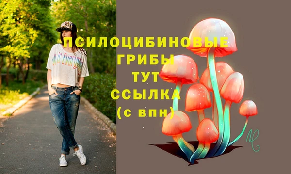 2c-b Лабытнанги